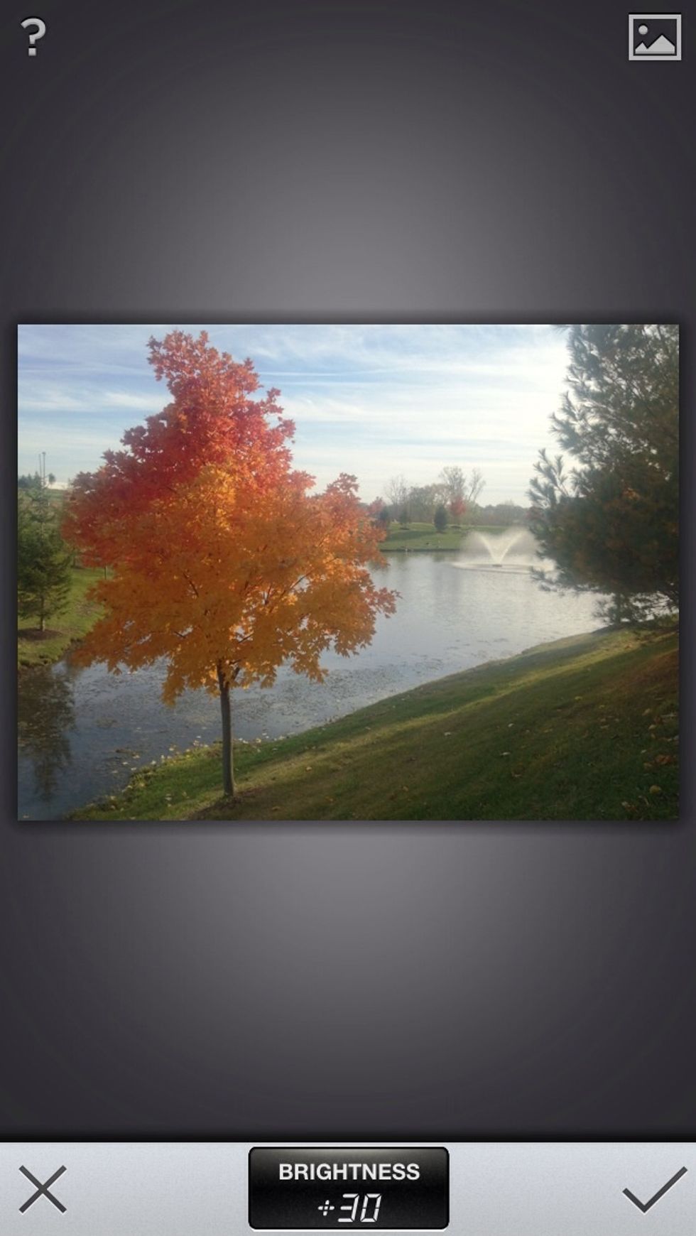 The brightness is now set to 30. Colors are brighter but the overall image is not washed out.