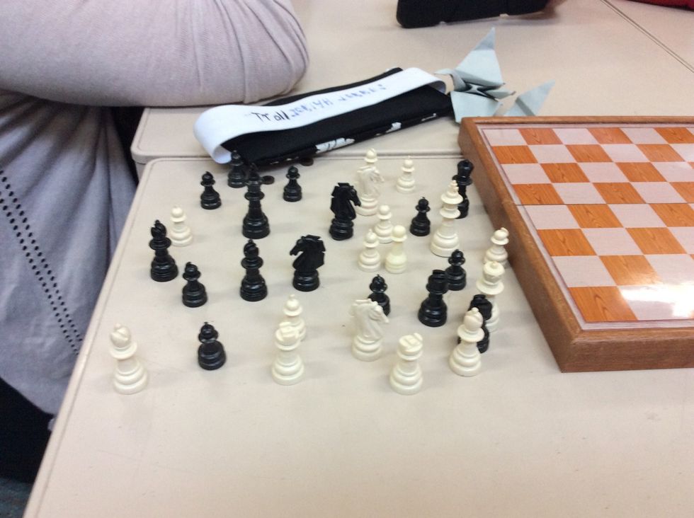 The chess pieces should look like this when you take it out