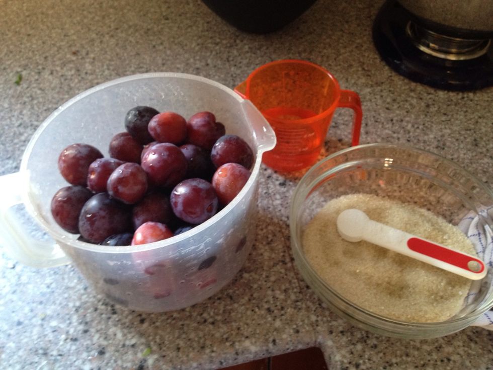 How to make fruit juice with plums B+C Guides