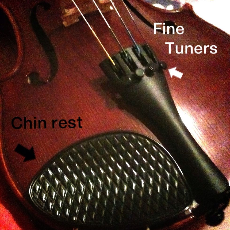 The chin rest and the four fine tuners.