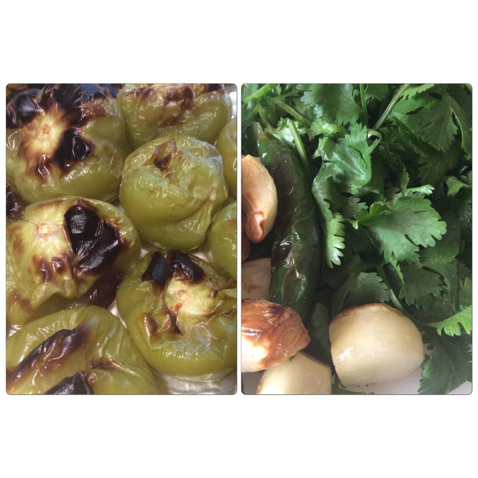 The cilantro, peppers, garlic, tomatillos and their juice - goes into...