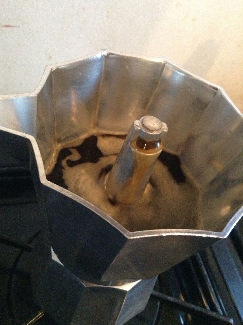 The coffee will steadily come out of the spout when the chamber is about 3/4 full turn the stove off and close the lid.