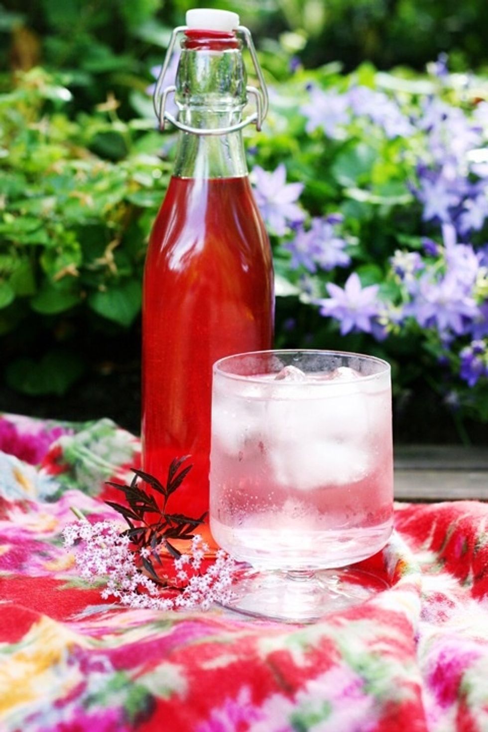 The cordial will keep in the fridge for a few months or in the freezer for longer. Once you try it though, I bet you will drink your batch long before that. Next year I'm making a double batch!