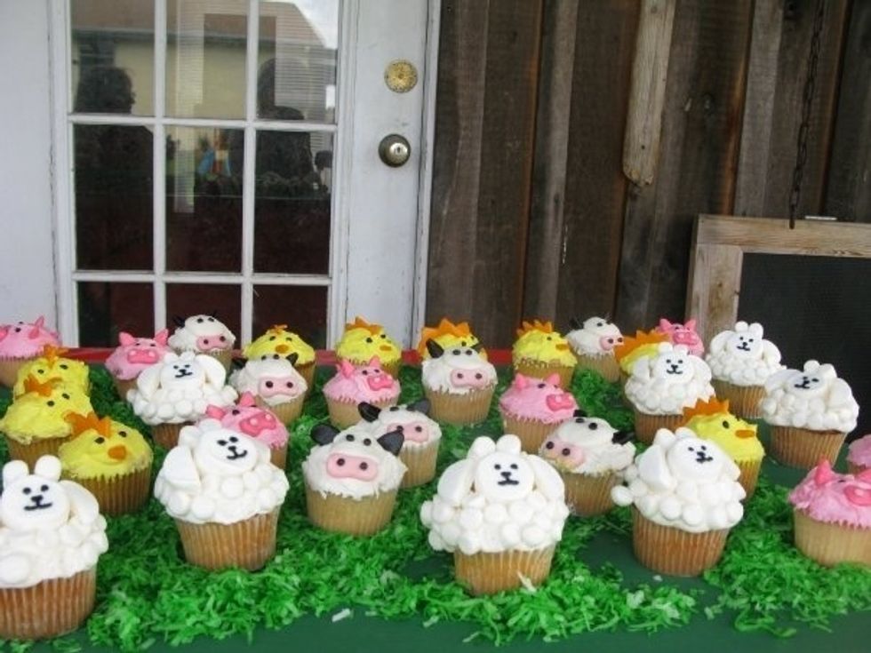 The cupcakes were also made by a cousin and not a store. Again adorable.