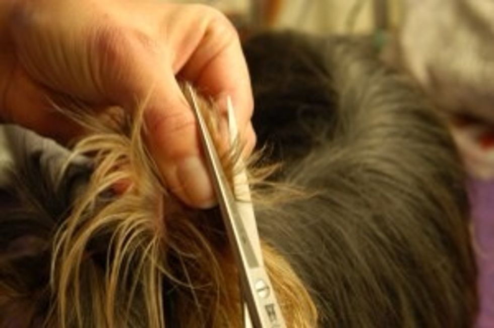 The cut from "bottom" to the top