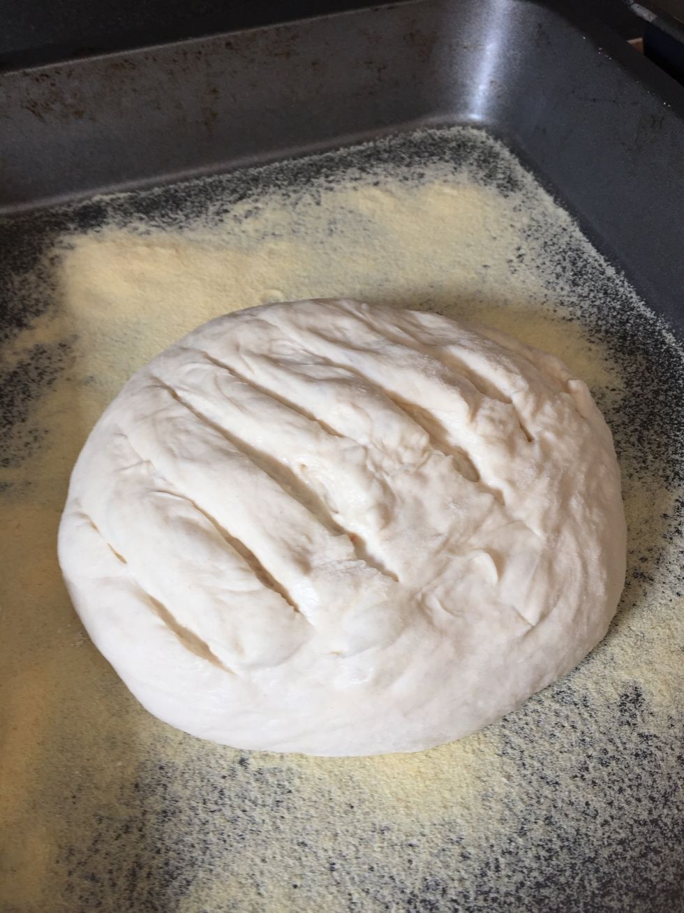 The cuts may expand and lose some definition before they go into the oven, which is fine.