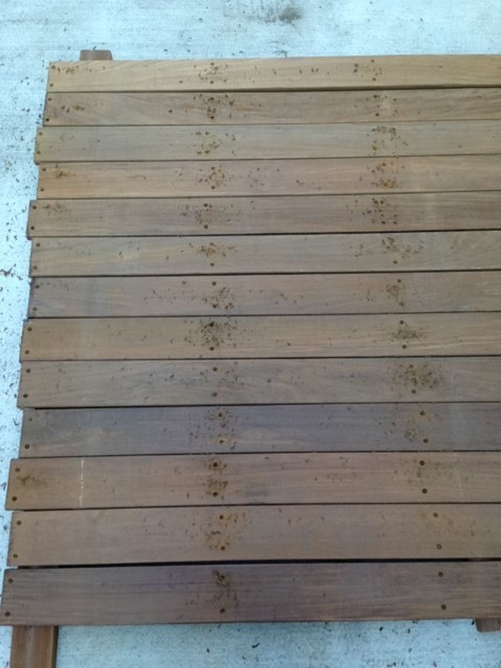 The deck is hard, so drill  points to screw.