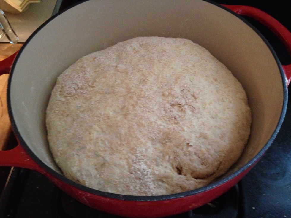 The dough is now big and ready to go into the oven. Make sure you don't expose it to cold air/draft.