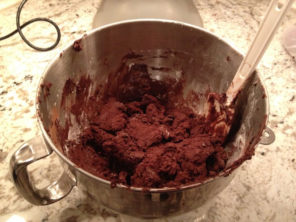 The dough will look like this when its done mixing. Don't over mix to avoid tough cookies! The dough will be crumbly.