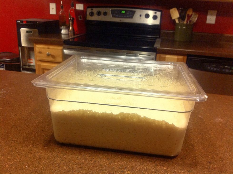 The dough will more than double in size. Refrigerate the dough overnight, and for up to 14 days.