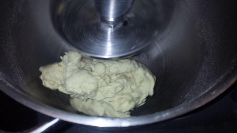 The dough will take on a slight yellow tint from the high alkali conditions. This is a sturdy dough and will take a little time to come together. If you add more water, do a LITTLE at a time.