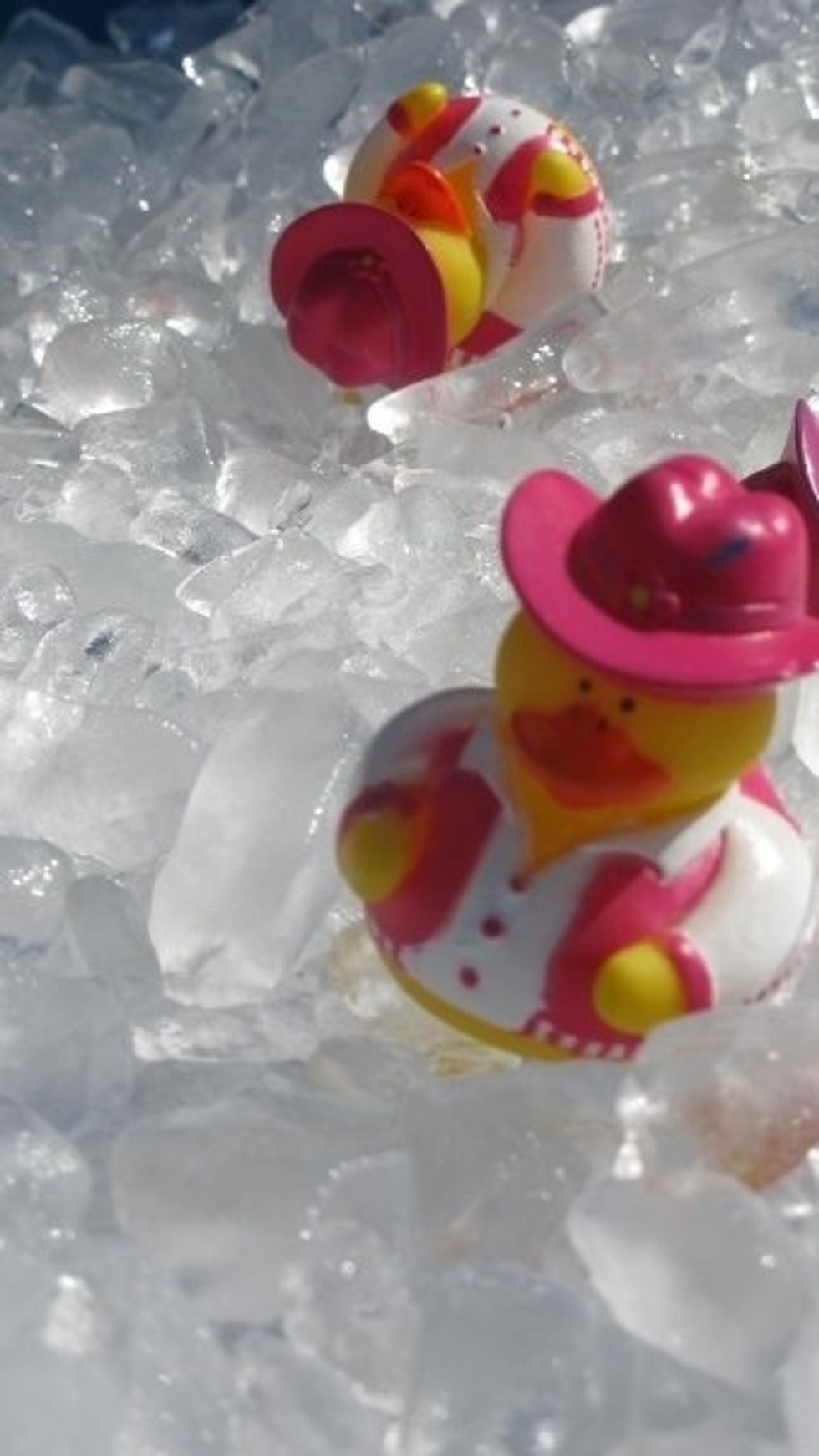 The drinks were kept in the duck pond. This was a baby pool filled with ice, rubber ducks from Oriental Trading Company... Oh and drinks, of course.
