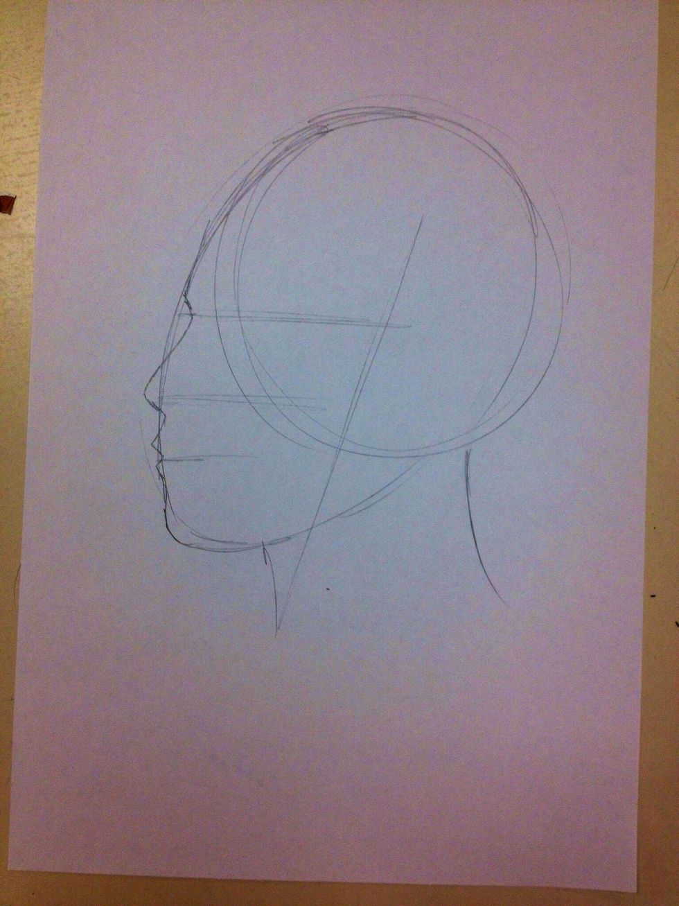 The ear fits between the eye line and the nose line. The guide line will tilt between the middle of the circle and the edge of the jaw.