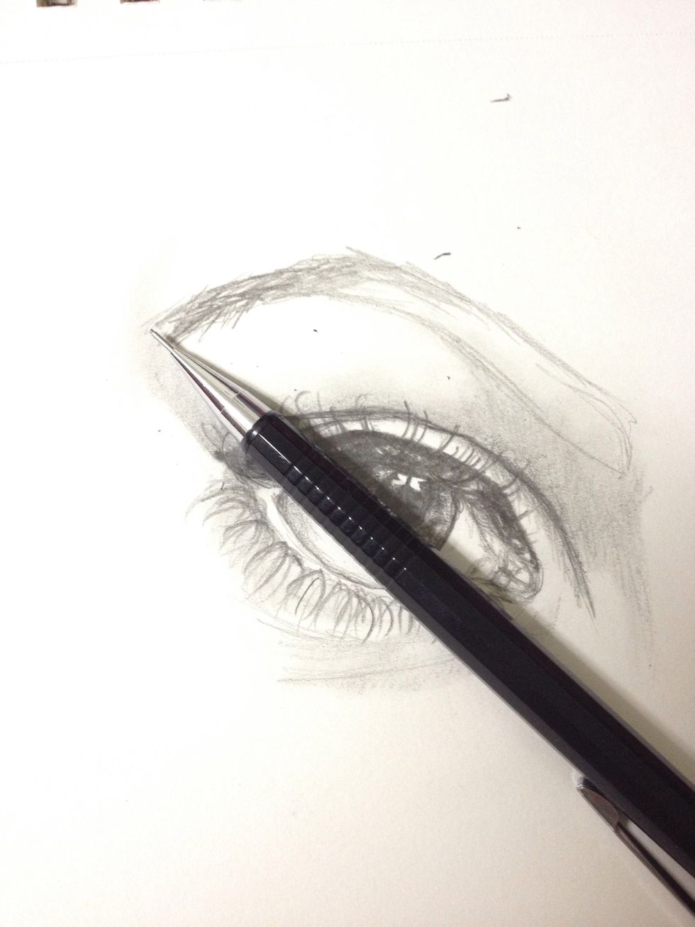 The end of the eyeball should be where the eyebrow stops