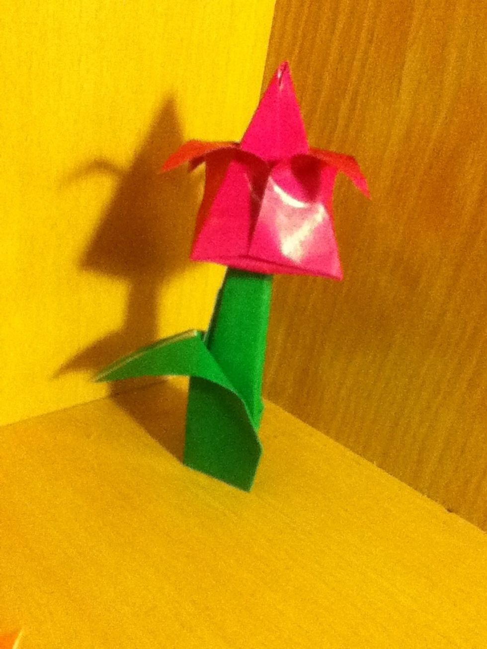 The End!! Your finished tulip!