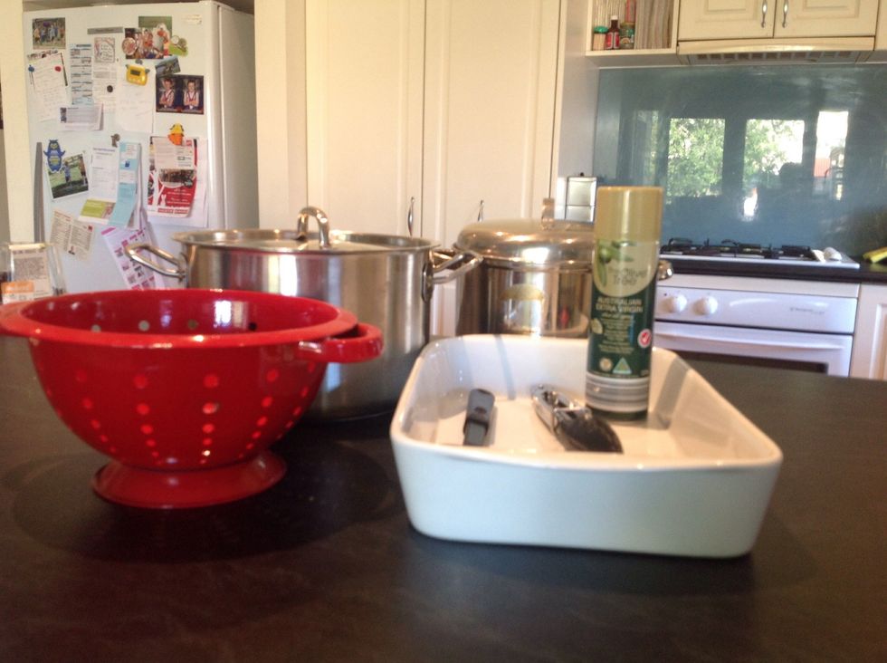 The equipment we used was tongs, cooking spray, saucepan, pot and a colander.
