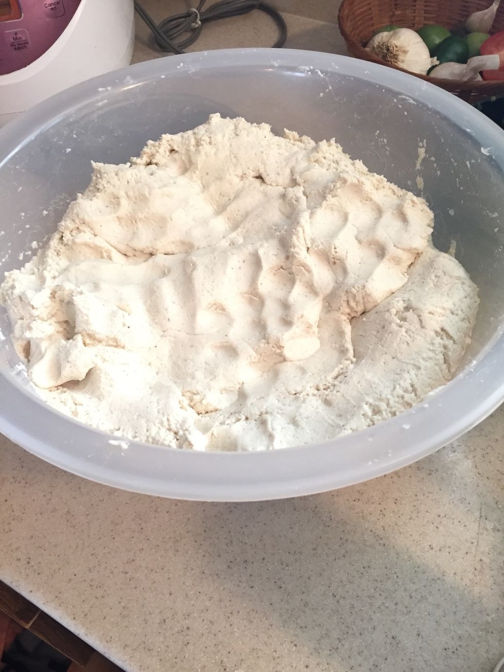 The final masa product should look like this