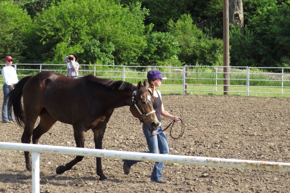 The final product will look something like this. Good luck showing!