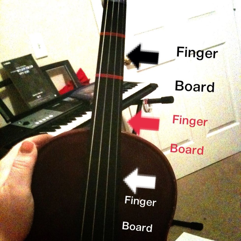 The finger board.