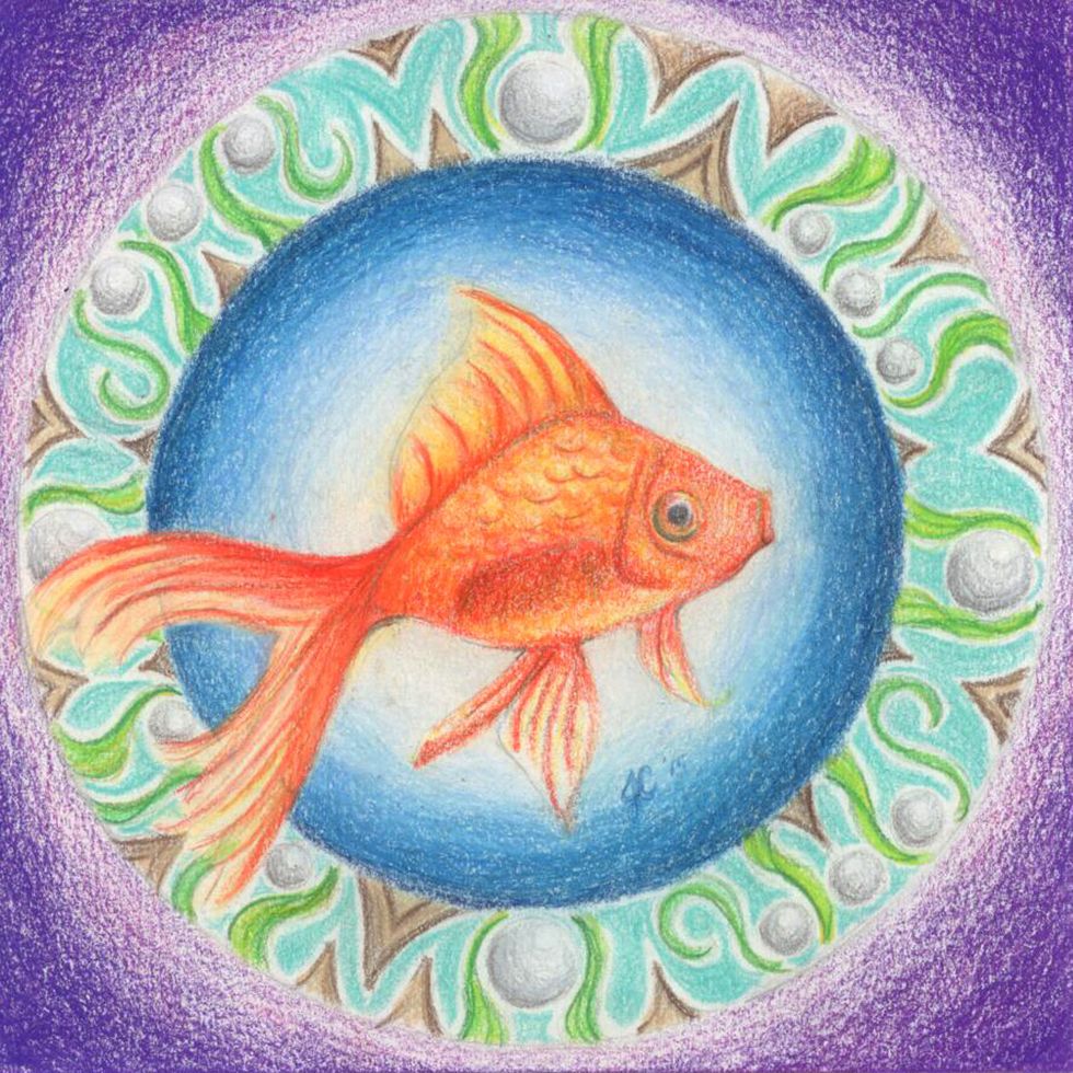 The finished drawing shows evidence of the shapes I found in my photo references.  I tried combining shapes from a few different fish to create one I was satisfied with for my drawing.