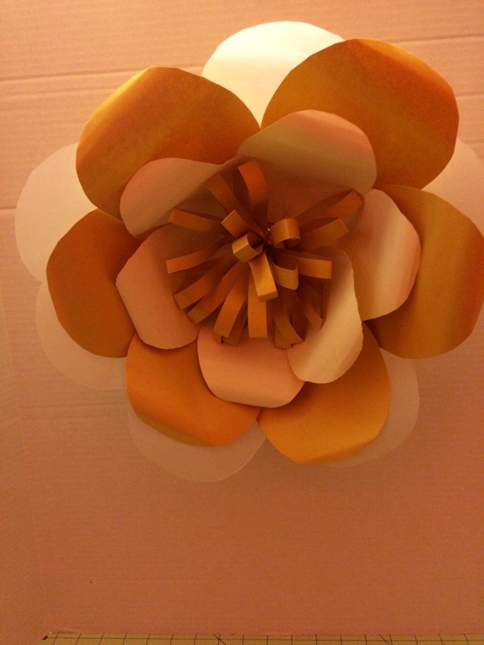 The finished product