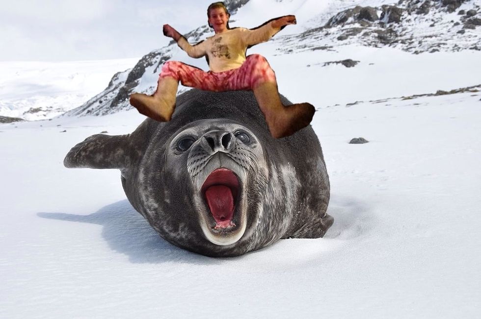 The finished product!