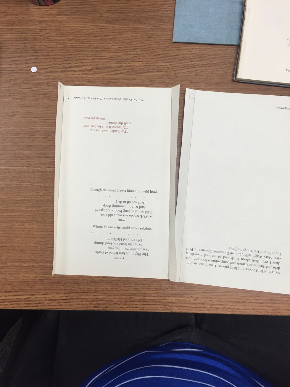 The first and last pages will have double folds. All other pages have single folds on the left side.