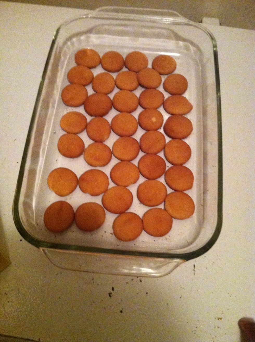 The first layer of Nilla wafers