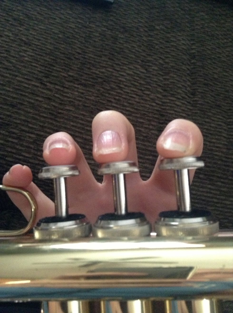 The first note is a low C. All valves are up, relaxed lips, low air. I apologize for the odd angle.