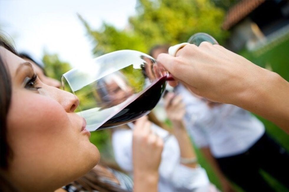 The first sip of wine is just a cleansing of the palate, make sure to swish the wine around all sides of your mouth. Then take another sniff of the wine, and take your first true sip of wine.