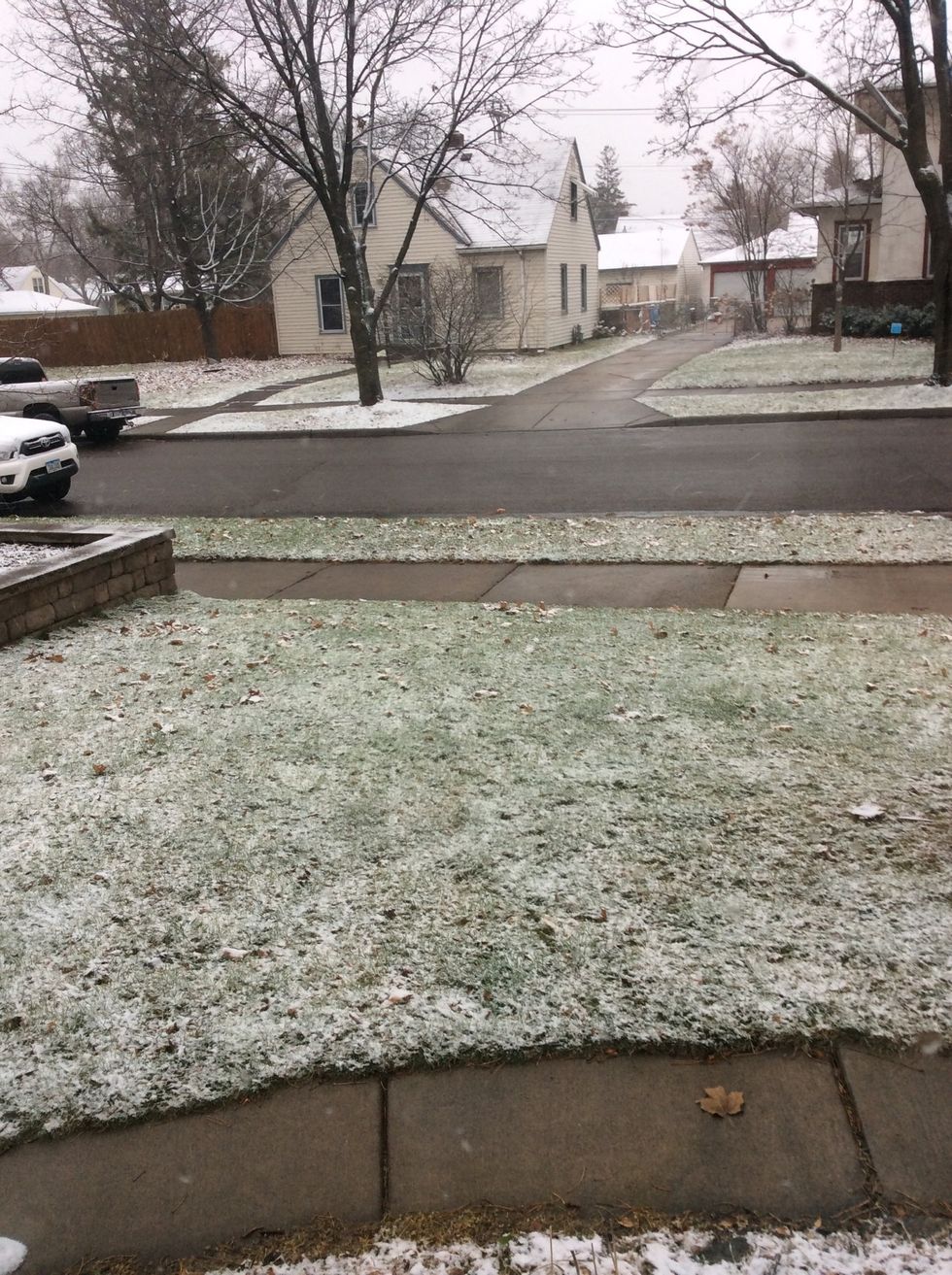 The first snow of the year! \u2744\ufe0f