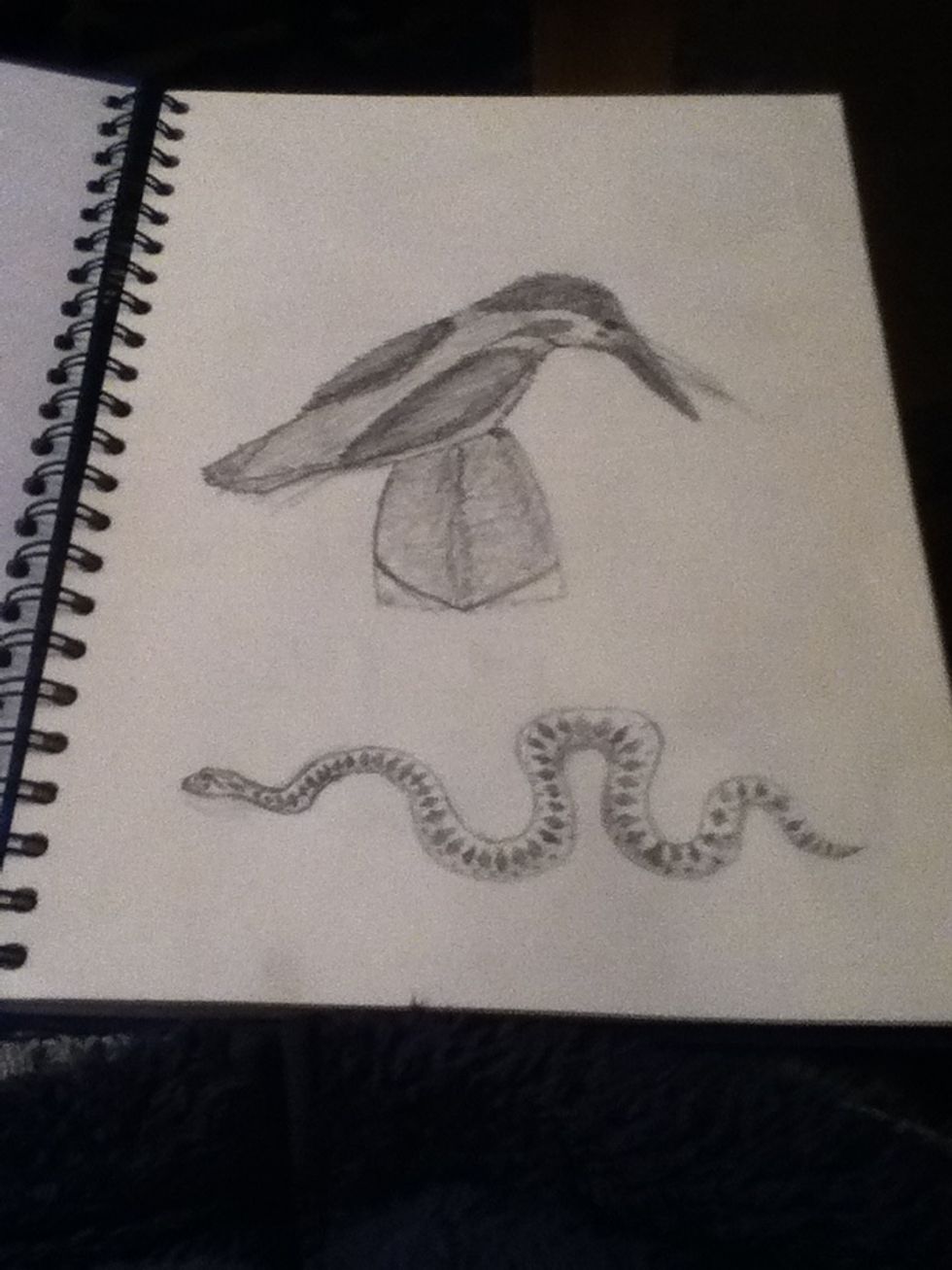 The following animals are from my first art project at school