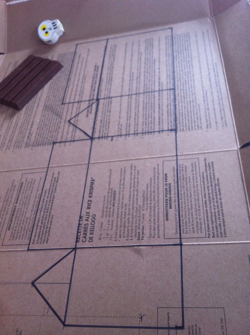 The frame looks like this on the cardboard