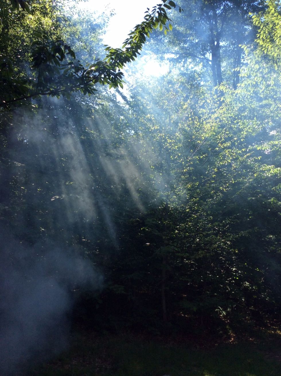 The general rule for cast iron cooking is 2 under and 2 over. So, a 12" Dutch oven would have 10 coals under the pot and 14 coals on the lid.