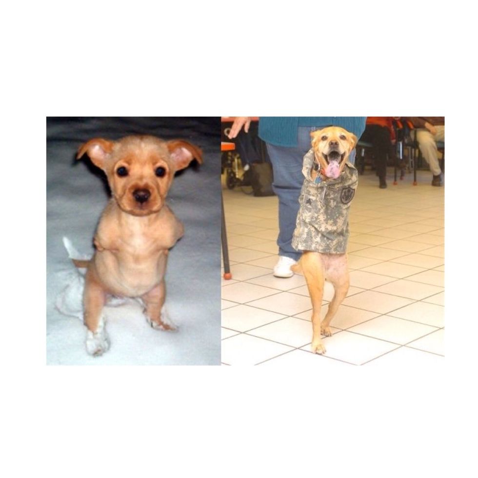 "The greatest accomplishment in life is doing things they said you couldn't."- Walter Bagehot