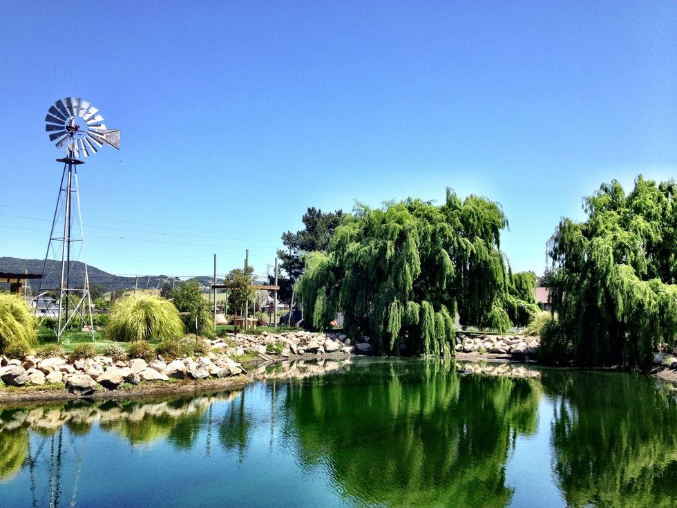 The grounds of the Homewood Winery are beautiful with a crystal clear pond surrounded by trees.