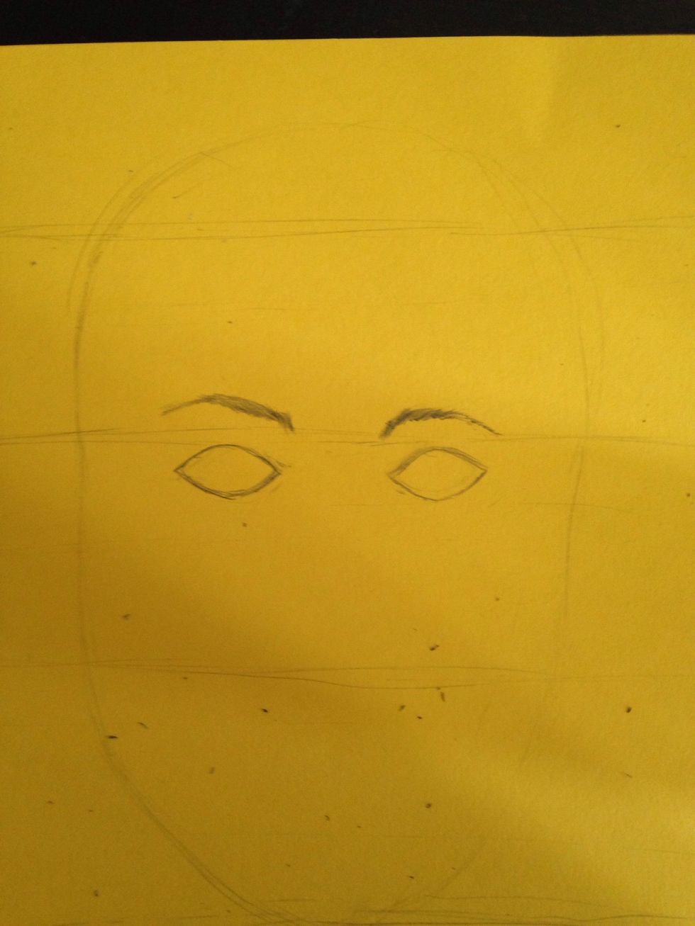 The hair line should fall on the first line, the eyebrows should fall on the second line, the end of the nose should fall on the third line, and the chin should fall on the last line.