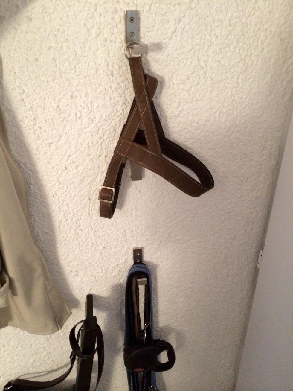 The hooks are great for jackets, but smaller stuff like dog leashes will work as well.