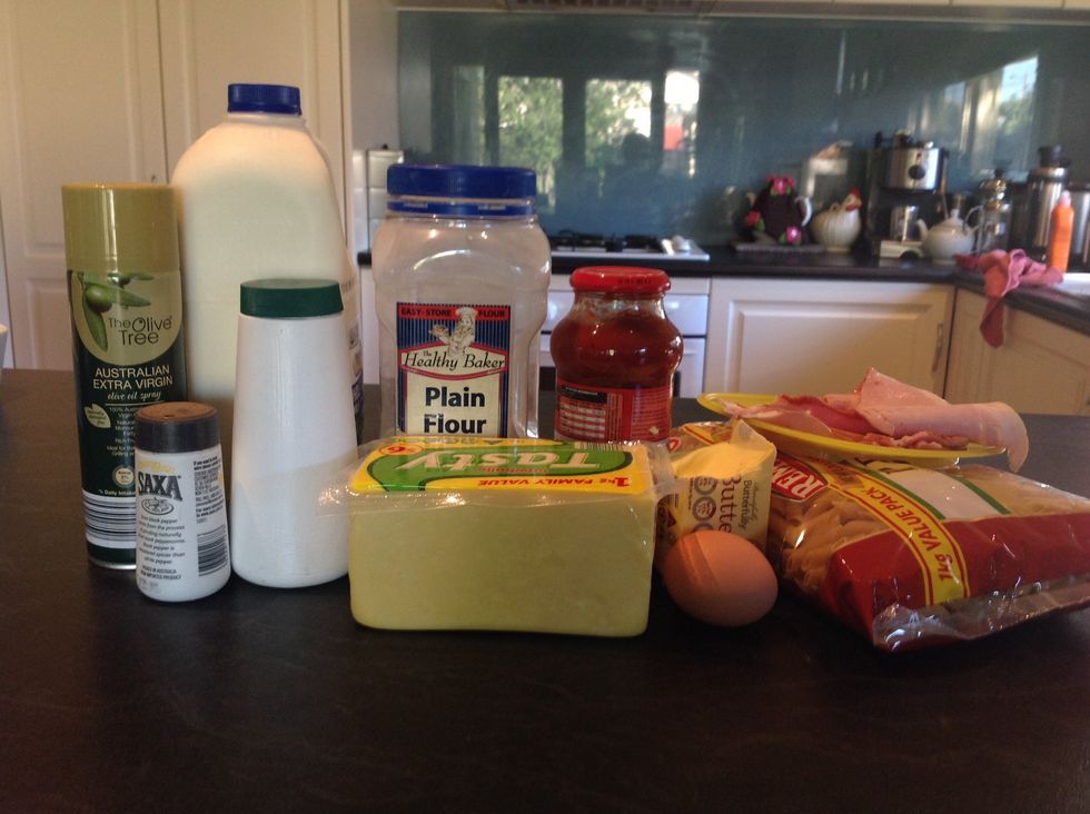 The ingredients used was cheese, an egg, bacon, salt, pepper, milk, cooking spray, tomato sauce and Pennie Pasta.