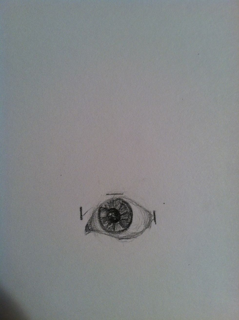 The iris is unique to each person in color and gradient, but the general rule is that there is a darker ring around the outside edge with various shades of lined color towards the center.