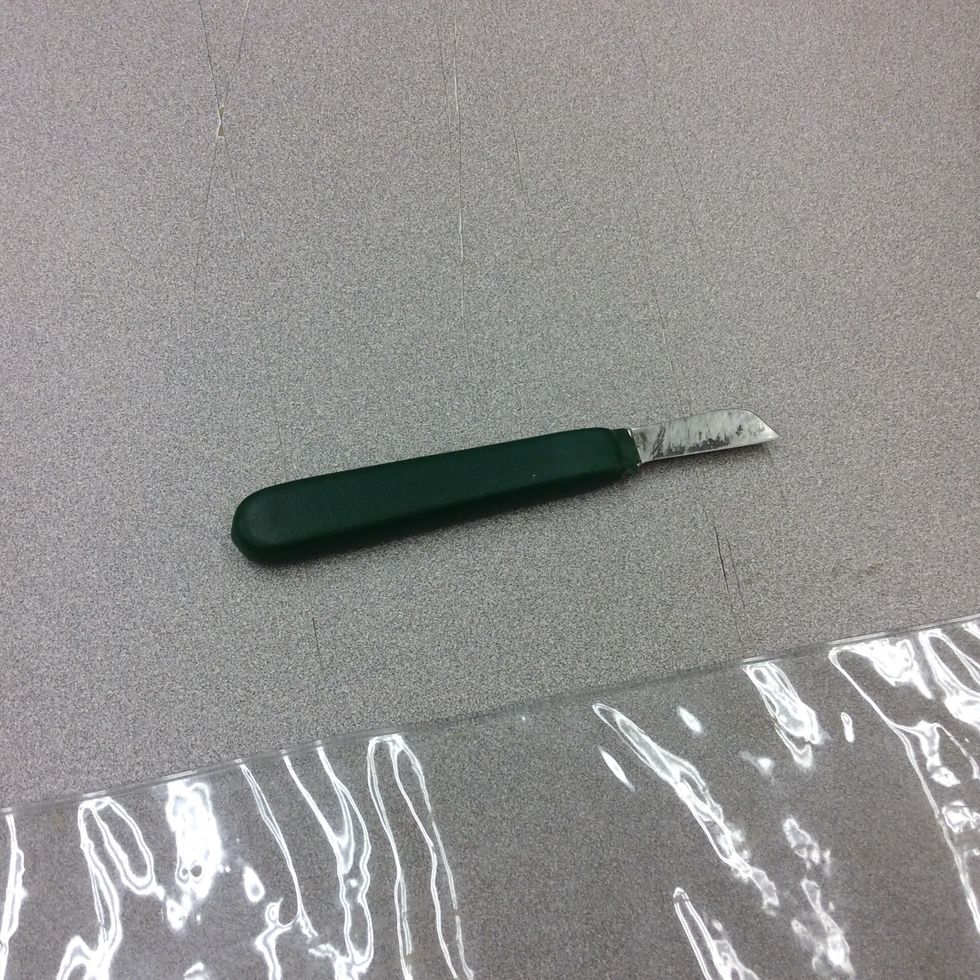 The knife that we used to cut the tar. To measure it to make it the right length