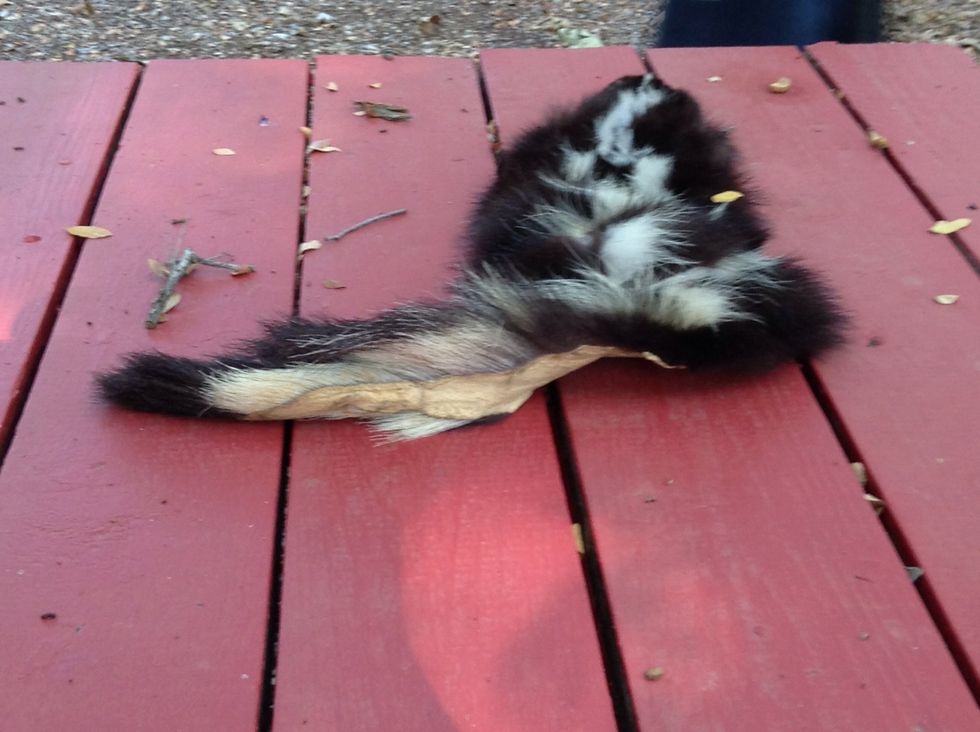 The ladie at the OLC showed us this !