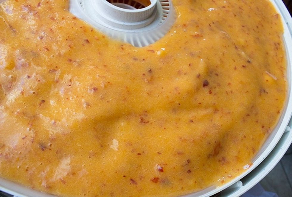 The layer should be thick enough that you can't see the tray through the mix. This is a 12 3/4 inch fruit roll tray. Follow your dehydrator's suggestions for maximum capacity.