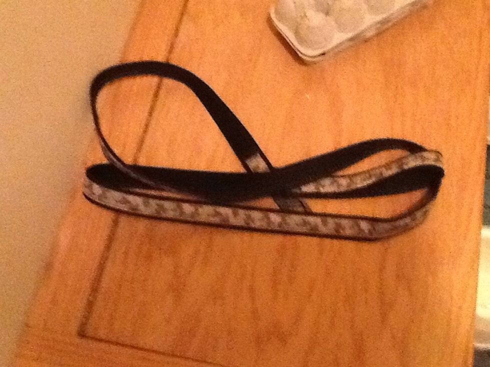 The leash I use for my dog.