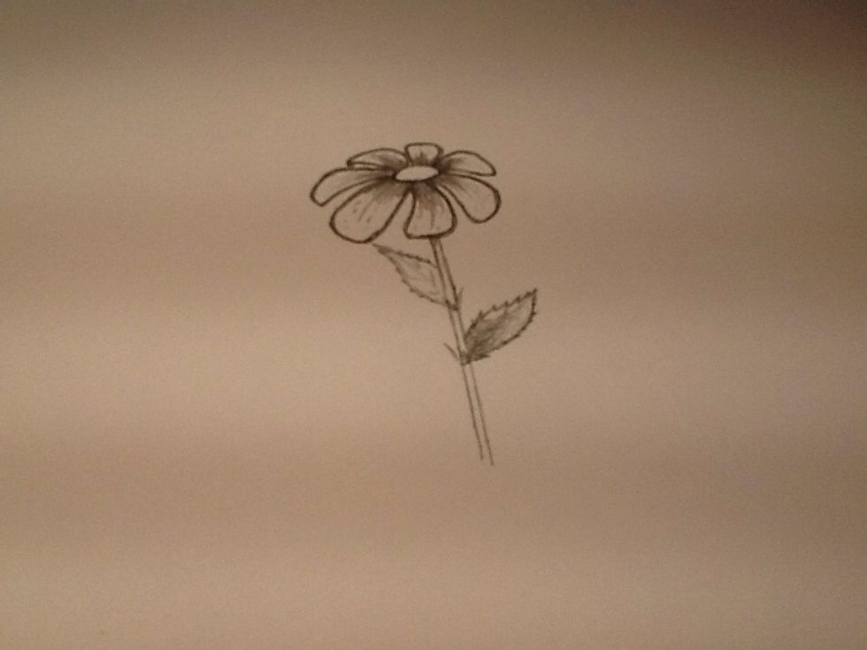 The leaves have a darker colour towards the stem, because that's where the light reaches them the least