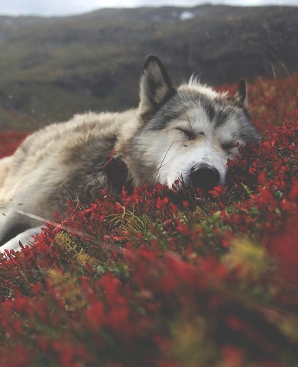 The little things in life are quite a variety of things. Whether it's your day off from work, or even spending time with family, you should always find something to smile about at the end of each day.