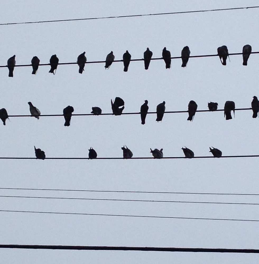The love and support from family and friends is truly important. But accept that there will be those who surprise you and will not be there for you. You learn a lot about people during grieving.