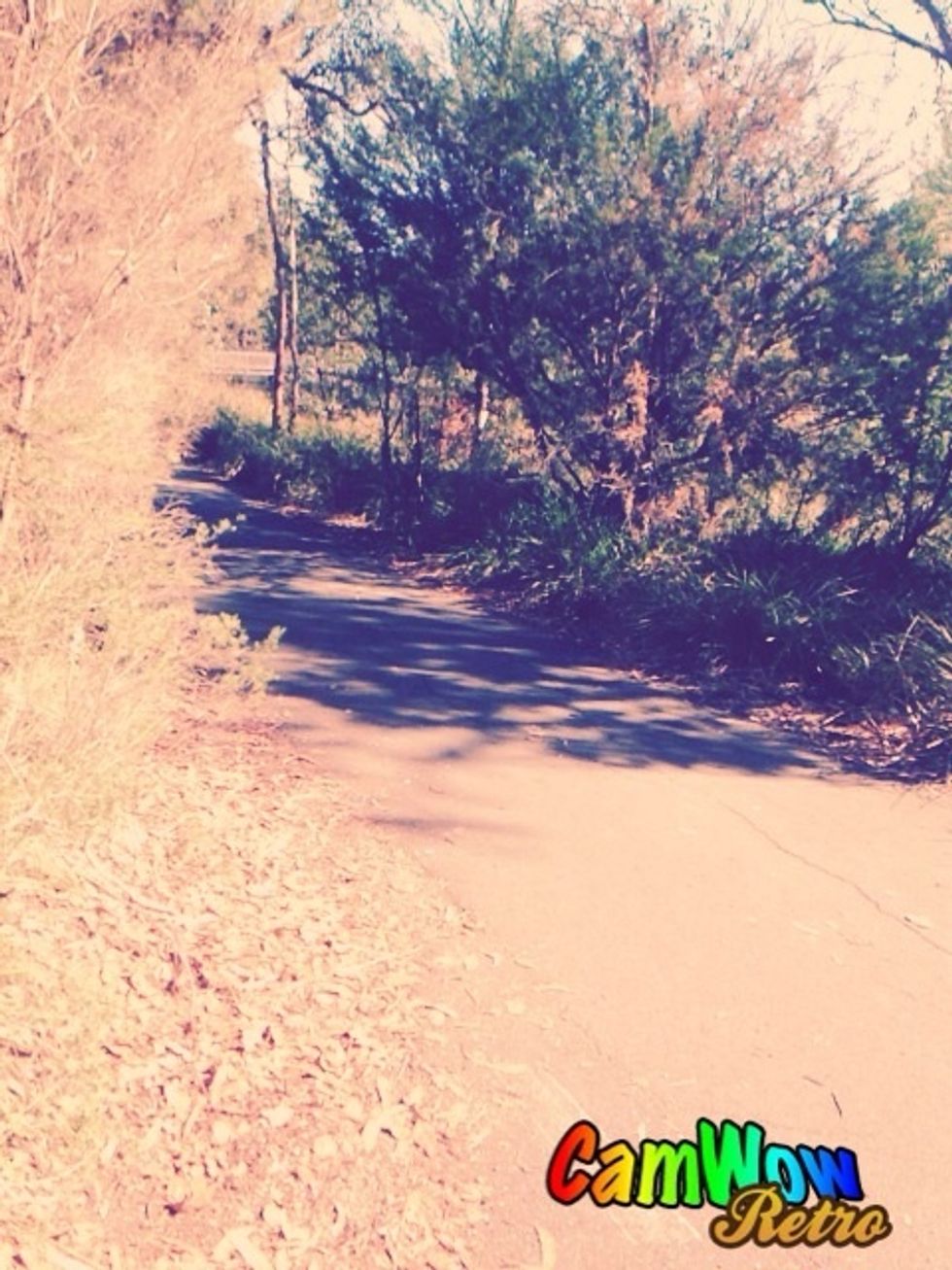 The main path that continues around the lake