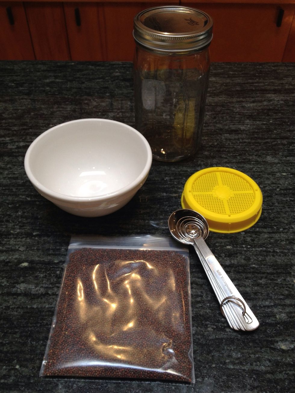 The mason jar method is by far the easiest way to get started with sprouting. You will need the jar, measuring spoons, a lid with a strainer, and a couple tablespoons of organic sprouting seeds.