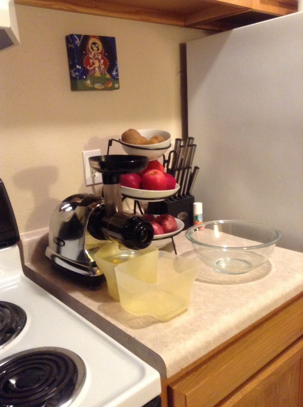 The masticating juicer! (Mine is an Omega) Masticating juicers are more gentle and do not kill the nutrients, healing enzymes and vitamins the way centrifugal juicers can.